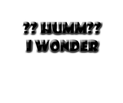 i wonder? - asking a qusetion