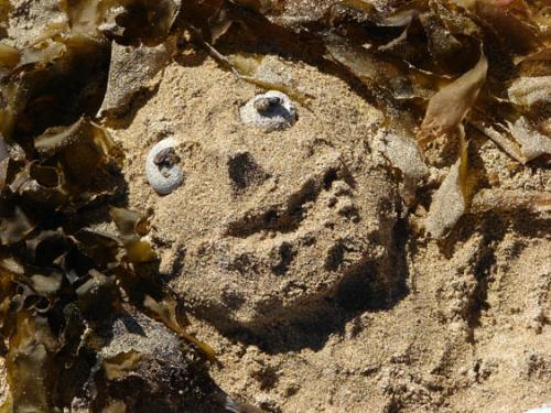 Mermaid - A mermaid we found on Flinders Island