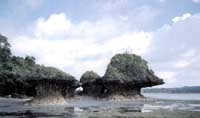 Umbrella Rocks - Umbrella Rocks, Agno, Pangasinan, Philippines

These mushroom shaped stone boulders dot the mouth of the Balincaguing River in Sabangan, Agno. Agno is 263.9 kilometers away from Manila. 