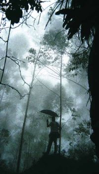 nature - to enjoy the nature