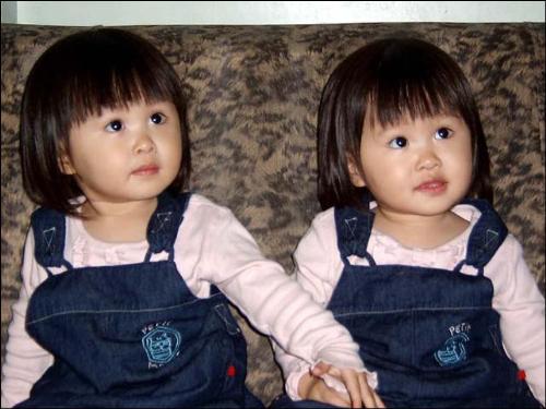 Twins - Lovely twins...arent they ..they are from china...look at their hairs...
