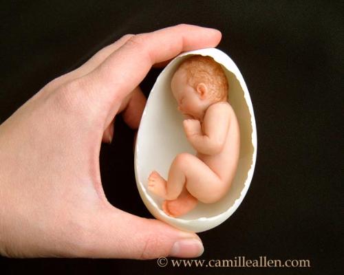 Babinshell - Its the doll baby in shell..its really great art done by great artist..and even before doll is being done by him