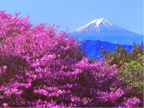 Beautiful Wallpaper of Mountain - Beautiful picture of mountain...nature beauty