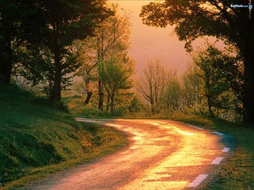 beauty of nature - morning beauty of nature