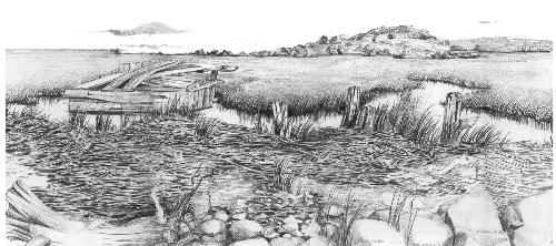 duck blind on the marsh - I grew up along the seashore and always loved to paint and draw the marshes and wetlands.