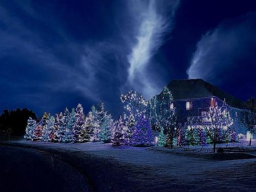 blue christmas - this photo i made in fireworks