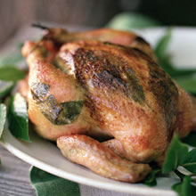 a chicken - it is yummy