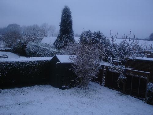 View Across the Gardens - 24/01/07... view from living room window across back gardens after snowfall.