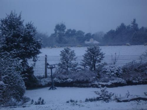 View Across Back Garden and Field 24/01/07 - Another view from living room window across back garden and field of sheep, after snowfall.