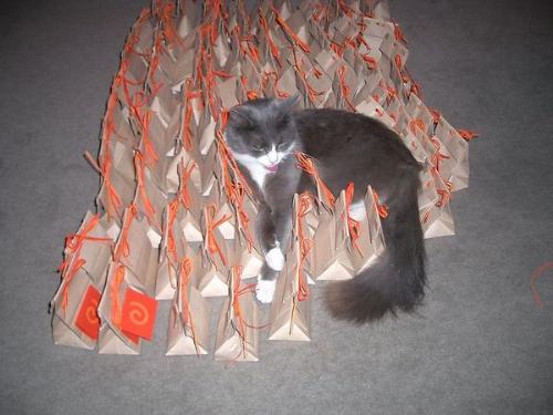 Lily in the favors - This is my cat Lily laying around in the wedding favors I made for our wedding. Ain't she cute!