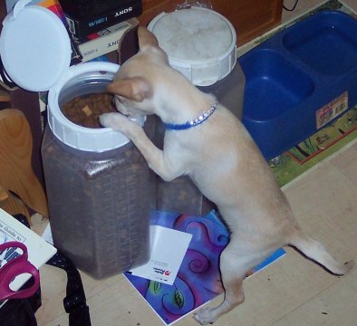 I am hungry now ! - But mommy I am hungry..