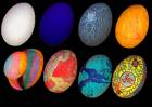 eggs - painted easter eggs