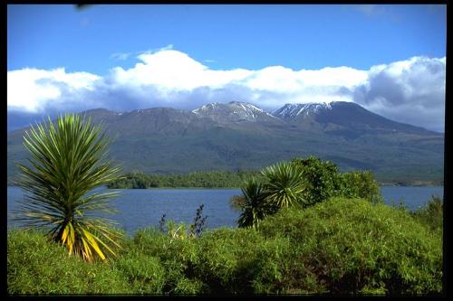 Summer - Summer Scenes in the mountainous area Summer - Summer Scenes in the mountainous area