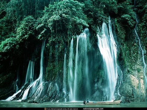 National geographic Wallpaper (Beautiful scene of  - National geographic Wallpaper (Beautiful scene of waterfalls through rainforest trees)