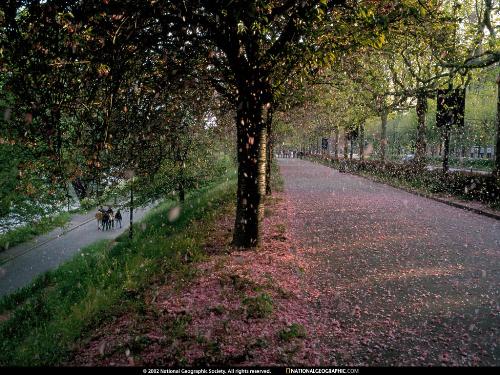 National geographic Wallpaper (Heaven on the earth - National geographic Wallpaper (Feels like heaven) on the earth