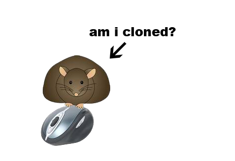 mouse, the original and the clone - the original or the clone what do you like?