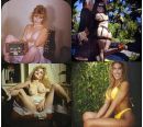 body - the most beautiful art in this world is body of a lady
