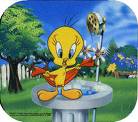 tweety - tweety