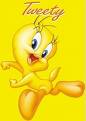 tweety - tweety