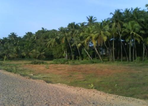 kerala - Now u know why it is called god's own country