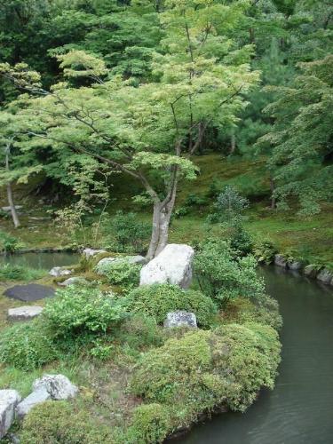 Japan - Picture shot in the beautiful region of Kansai in Japan !