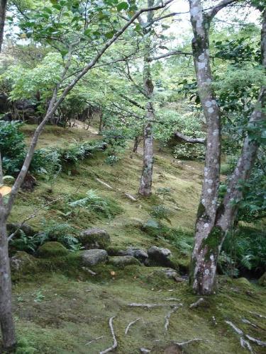 Japan - Picture shot in the beautiful region of Kansai in Japan !