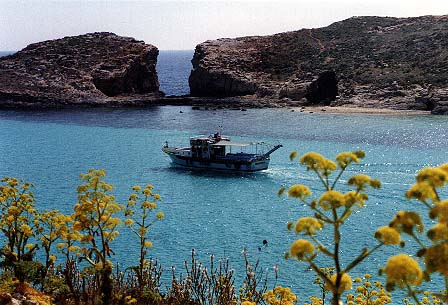 Comino - Comino beach