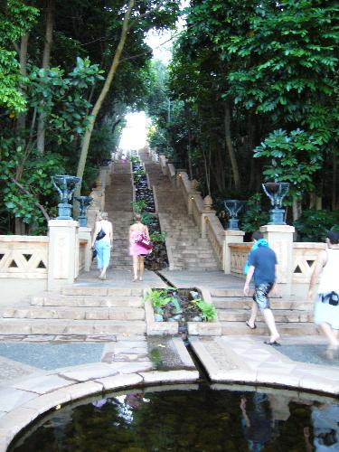 stairs leading to palace - these stairs leads to a closer view of the lost city palace hotel and a huge elephant statue:)