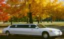 Limo - I love riding in limosines, maybe someday I'll have one for my wedding day.