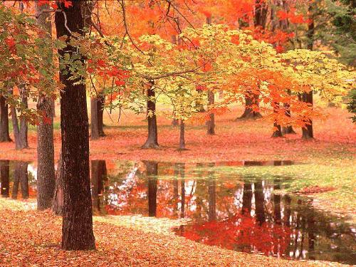 beautiful nature - this is really a god's gift