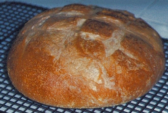 Bread - freshly baked bread