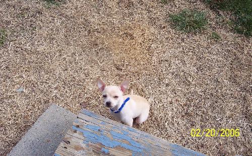 Madison - But mommy I need help getting up those big steps..