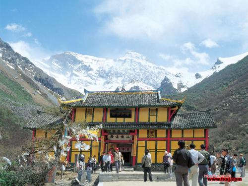 nature,tree - jiuzhai of sichuan in China