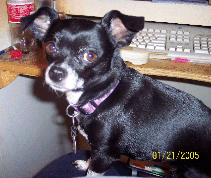 Buttons - Mom I was only helping you out...