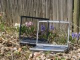 Laptops - transparent laptops..