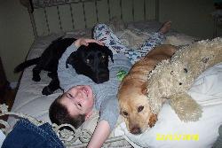 My son and his dogs - This is my son snuggled up with his two favorite friends. It is true they do sleep in a pack.