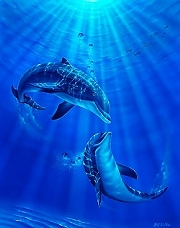 Dolphins - Loving Mamals