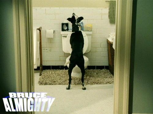 Bruce Almighty - I love Jim Carrey and thought this was one of the funnier movies he has made. Lots of laughs and a real enjoyment to watch.