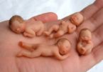 how is it - they are human babies