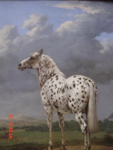 Horse Picture in the Getty Museum - Horse Picture