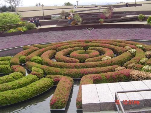 Maze Garden - Maze Garden