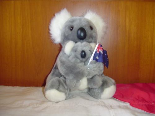 Koalas from Australia - A mother and baby Koalas holding an Australian flag. This stuffed koalas are a favorite souvenirs by tourists who flock Australia.