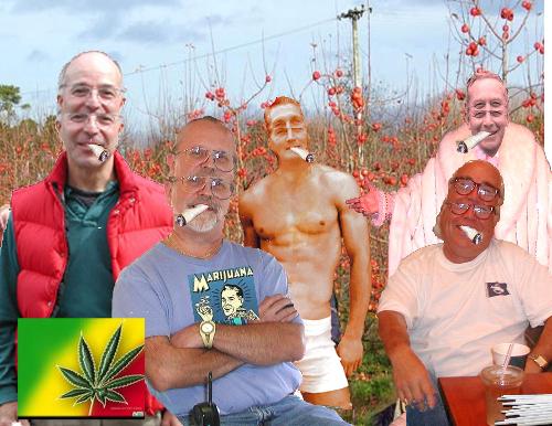 Stoned - This is a made up photocollage depicting what things may look like while smoking marijuana.  