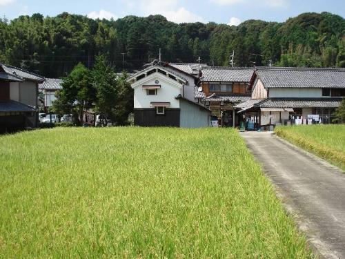 Japanese Region - Picture taken in the region of Kansai in Japan.