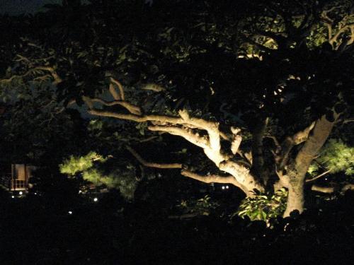 Japanese Region - Picture taken in the region of Kansai in Japan.
