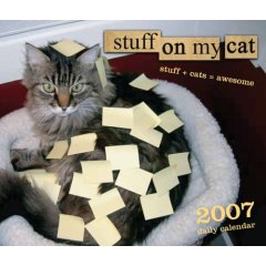 Stuff on my cat - Cover of the 'stuff on my cat' calendar