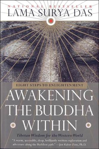 Awaken the Buddha Within - excellent book