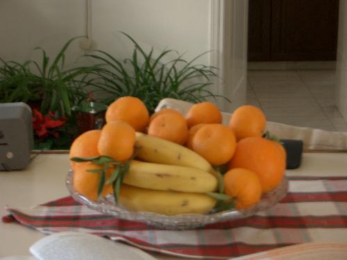 Fruit - We have a lot of fruit in our country
