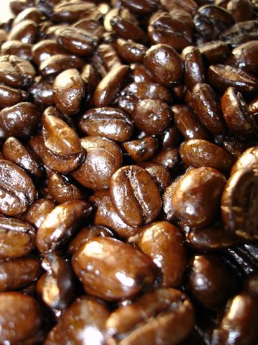 Coffee bean - Skinned coffee bean ready to bake and grind to get great taste and smell