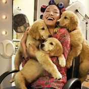 be-more-intimate - 'im a dog in nature'..always loyal and faithful